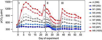 High CO2 Under Nutrient Fertilization Increases Primary Production and Biomass in Subtropical Phytoplankton Communities: A Mesocosm Approach